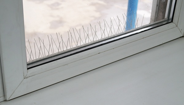 Если Вы установите антиприсадные шипы за окном, из помещения они будут крайне мало заметны (нажмите на фото для увеличения)