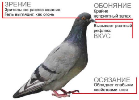 Биологический отпугиватель 