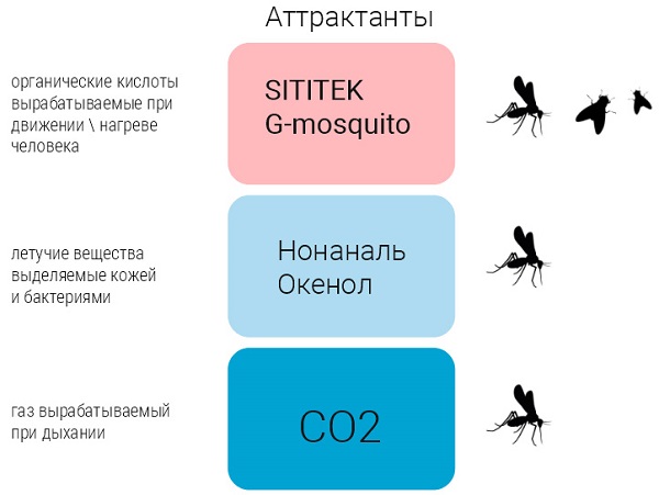 состав и область применения популярных аттрактантов